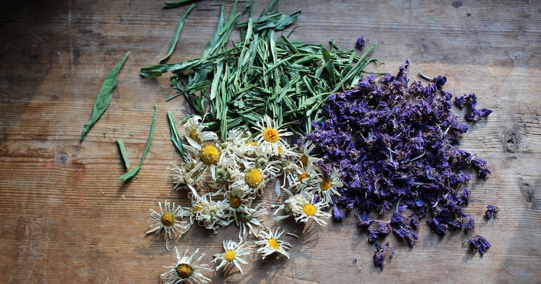 Vibrant Dried Herbs