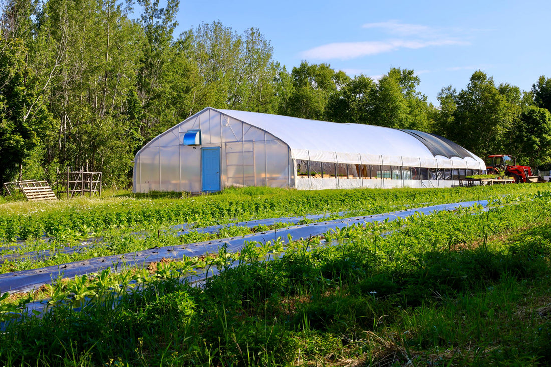greenhouse in farm field