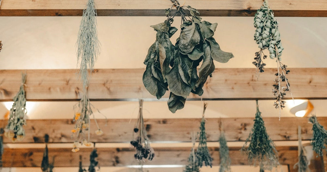 Hanging Dried Herbs