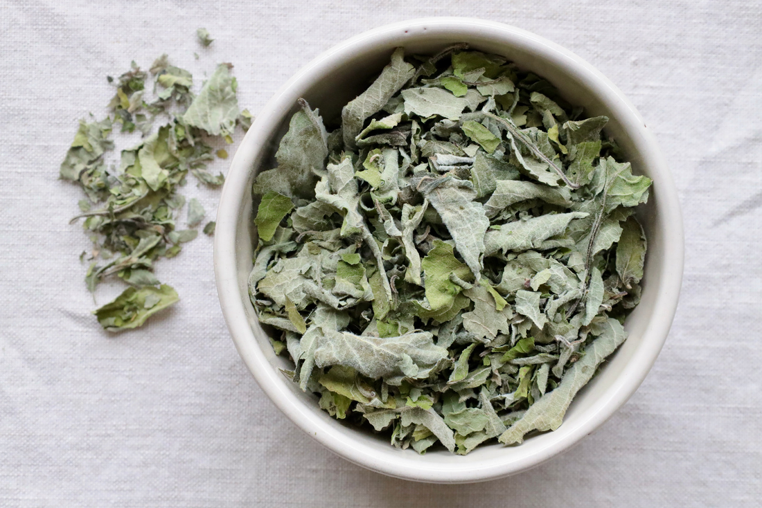 Where to Buy Holy Basil: A Complete Guide to Finding the Best Quality