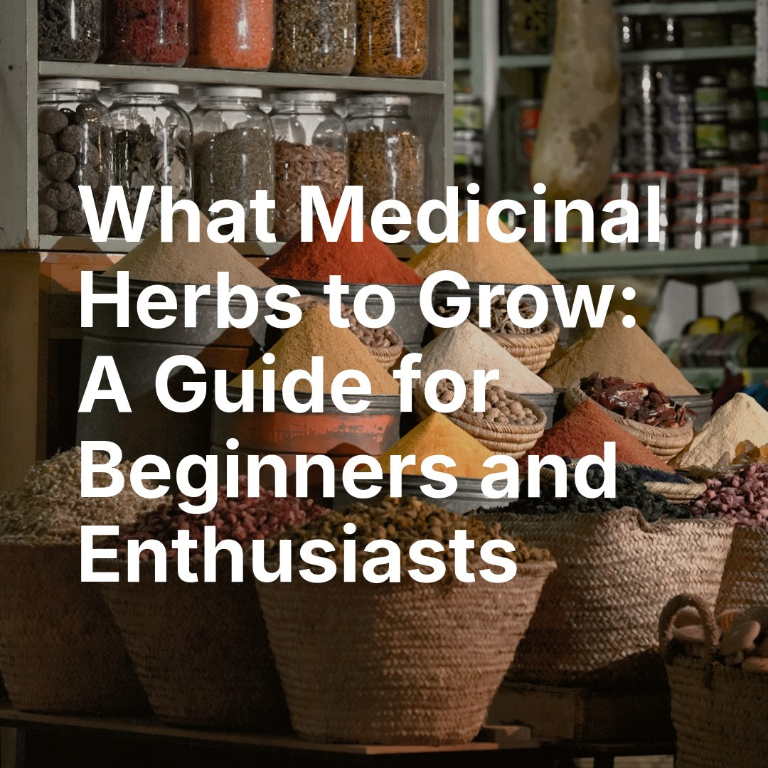 What medicinal herbs to grow - herbal apothecary