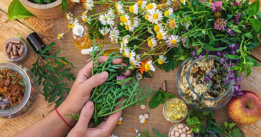 Melange de La Ferme (New)