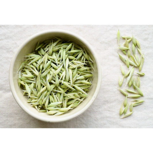 Organic Milky oats picutred in bowl