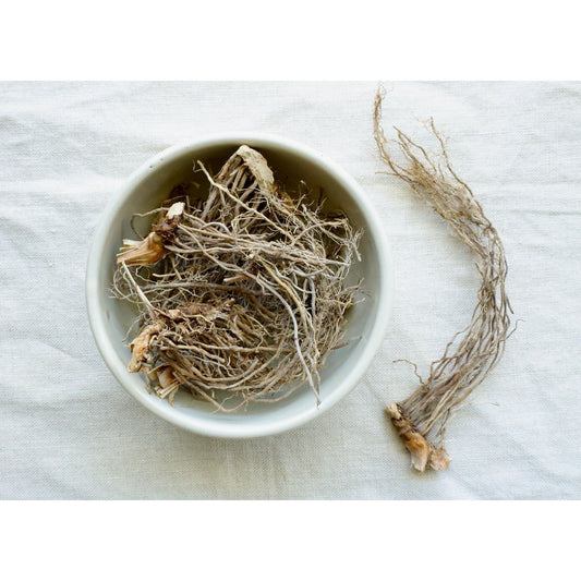 Picture of root of American Sweetflag on cloth and in bowl