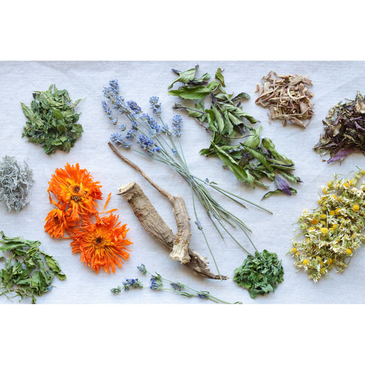 Photo of herbs grown on farm to demonstrate gift card options