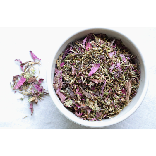Organic echinacea purpurea flower on display on cloth and in bowl