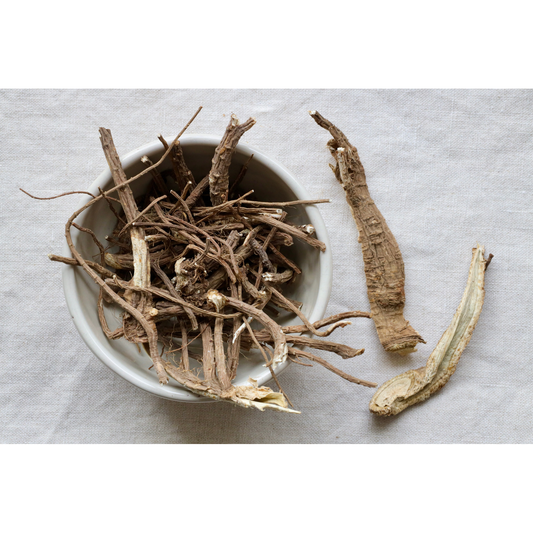 Organic Angelica root on display in bowl and on cloth