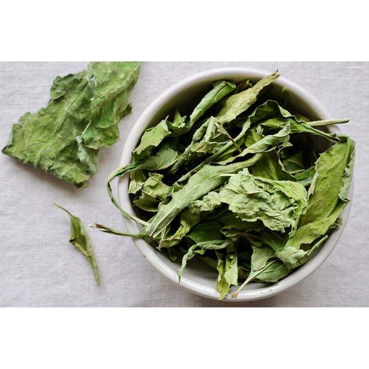 Organic whole leaf echinacea purpurea on cloth and in bowl for display