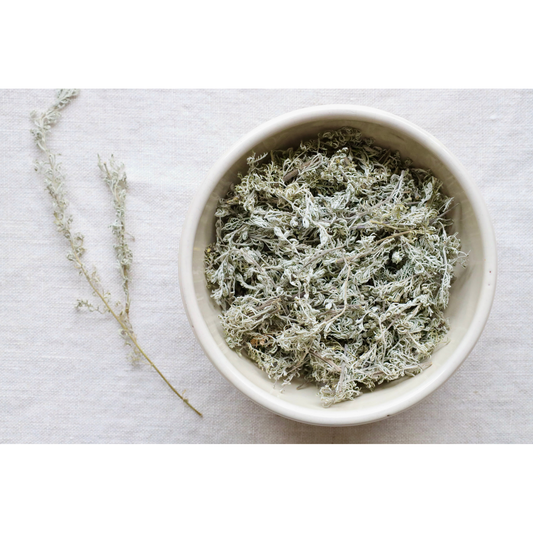 Artemisia pontica (Roman wormwood) on display in bowl and on cloth