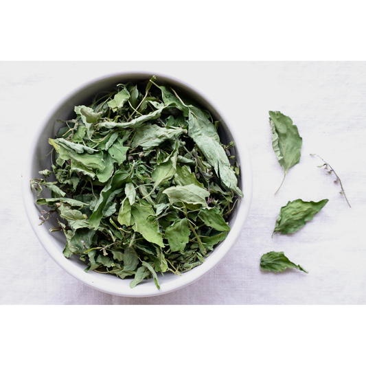 Organic skullcap wohle leaf on cloth and in bowl on display