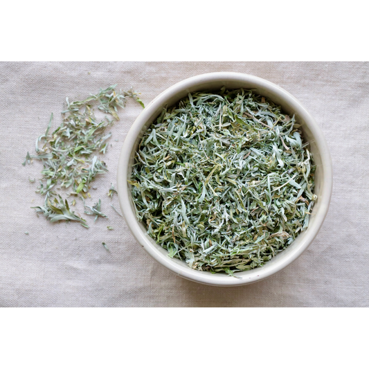 Organic Wormwood (Artemisia absinthium) on display in bowl and on cloth