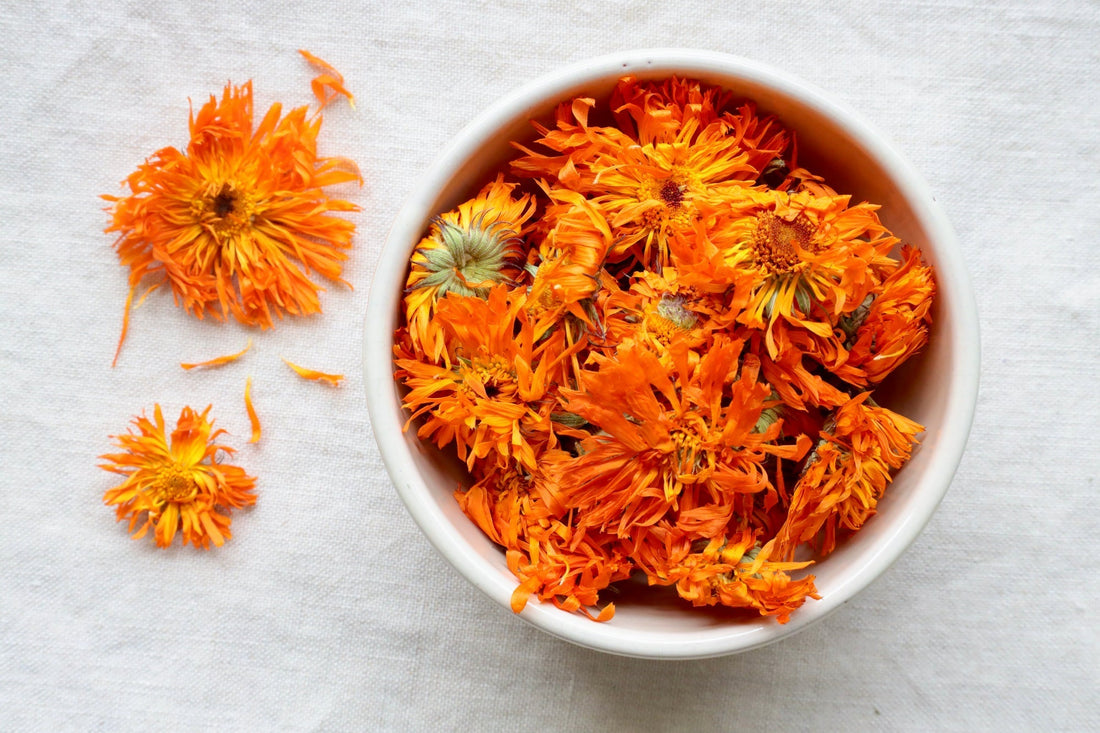 The Healing Power of Calendula: How to Buy Organic Calendula Flowers and Products