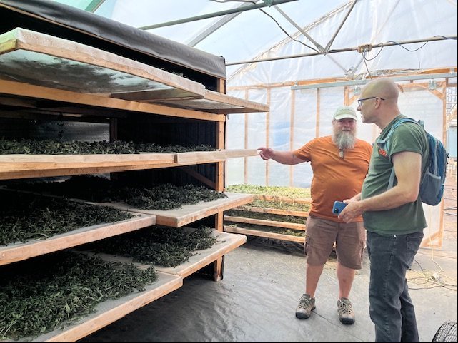 Passive Greenhouse Dryer