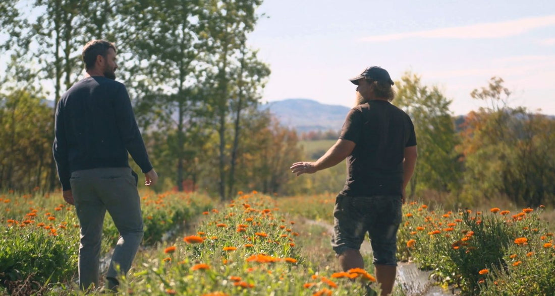 Farm Owner and Operations Manager in Calendula Field