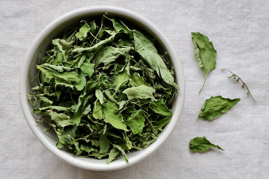 Dried Organic skullcap leaf and flower in a bowl, hand-garbled on our Charlevoix farm