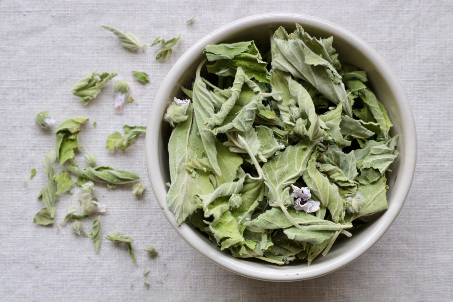 Photo of Organic marhsmallow leaves on display in bowl and on cloth